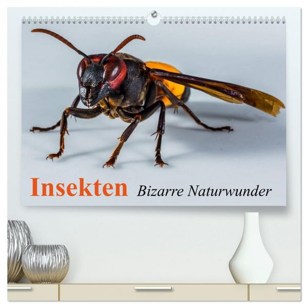 Produktbild: Insekten &bull; Bizarre Naturwunder (hochwertiger Premium Wandkalender 2026 DIN A2 quer), Kunstdruck in Hochglanz