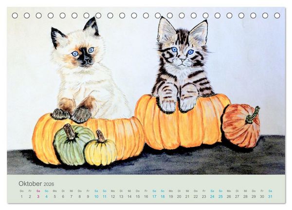Produktbild: KATZEN PortraiTierART (Tischkalender 2026 DIN A5 quer), CALVENDO Monatskalender