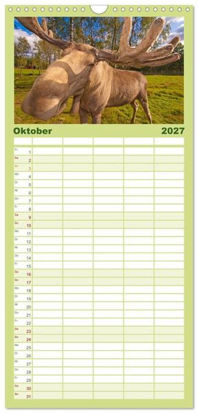 Produktbild: Familienplaner 2027 - Sehnsucht Schweden - Sverige mit 5 Spalten (Wandkalender, 21 x 45 cm) CALVENDO