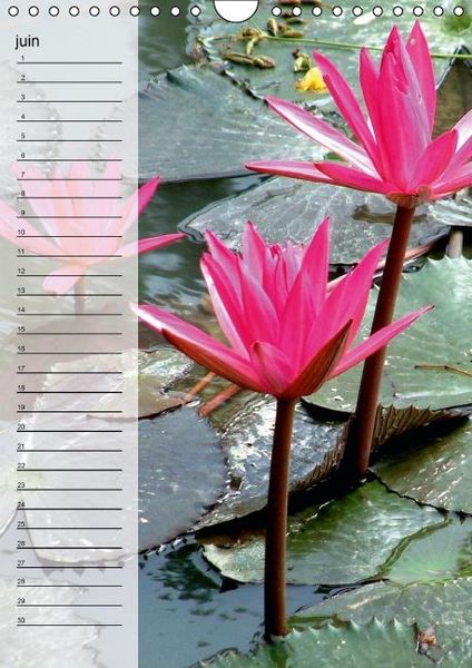 Produktbild: Blank, R: Fleurs tropicales / calendrier anniversaire (Calen