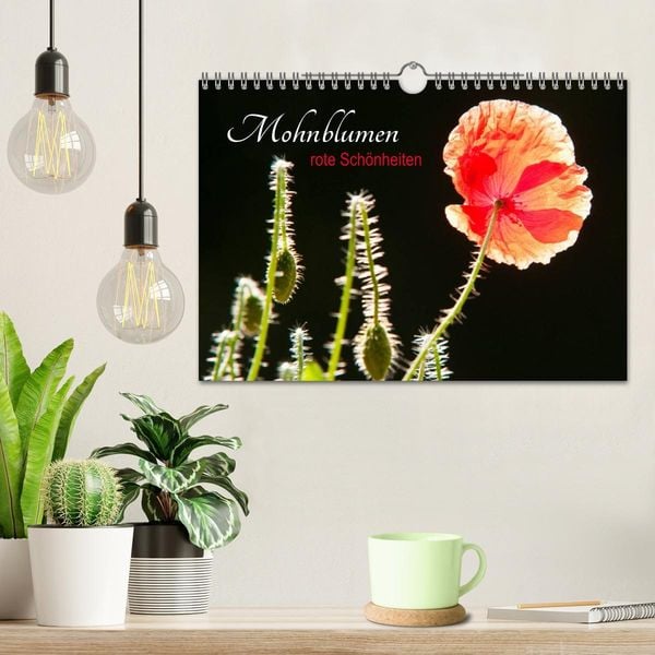 Produktbild: Mohnblumen - rote Sch&ouml;nheiten (Wandkalender 2026 DIN A4 quer), CALVENDO Monatskalender