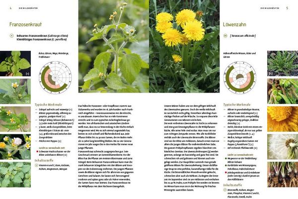 Produktbild: Die gro&szlig;e Wildkr&auml;uter-Kochschule