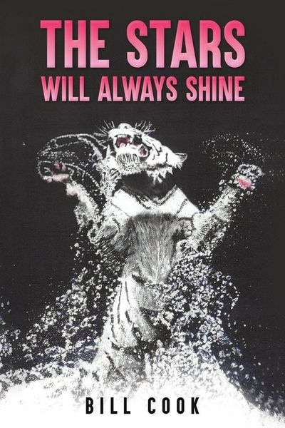 Produktbild: Cook, B: Stars Will Always Shine