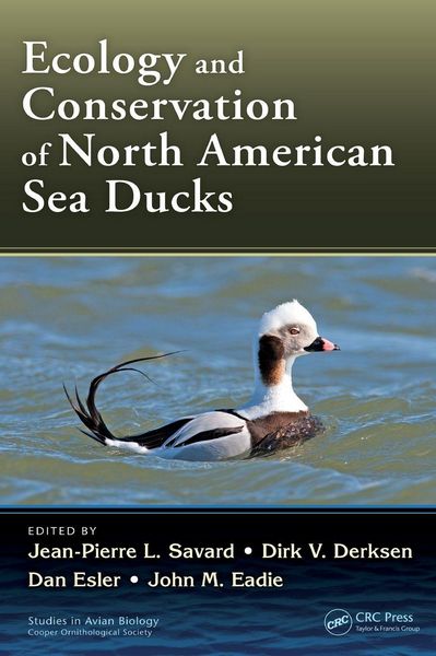Produktbild: Ecology and Conservation of North American Sea Ducks