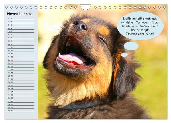 Produktbild: Hurra! Wir gehen Gassi! Abenteuer mit dem Hund! (Wandkalender 2026 DIN A4 quer), CALVENDO Monatskalender