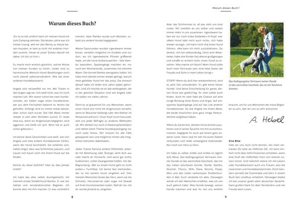 Produktbild: Herz &uuml;ber Kopf
