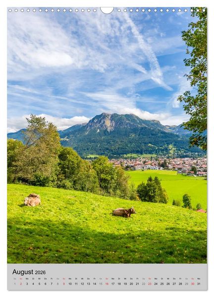 Produktbild: ALLG&Auml;U Idylle und Historie (Wandkalender 2026 DIN A3 hoch), CALVENDO Monatskalender