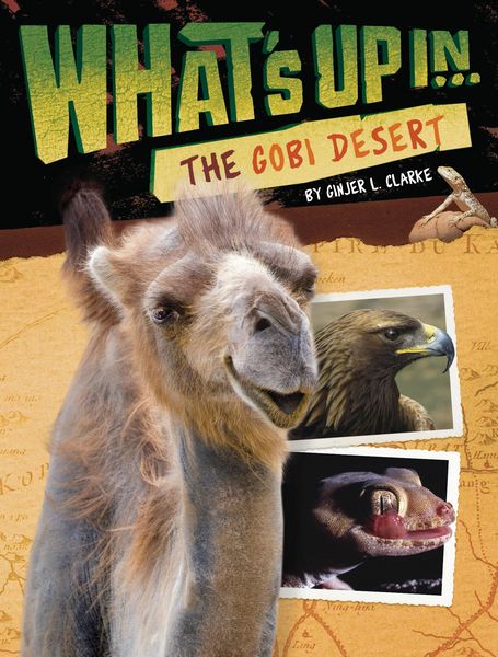 Produktbild: What's Up in the Gobi Desert