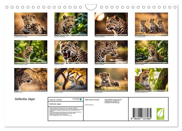 Produktbild: Gefleckte J&auml;ger (Wandkalender 2026 DIN A4 quer), CALVENDO Monatskalender