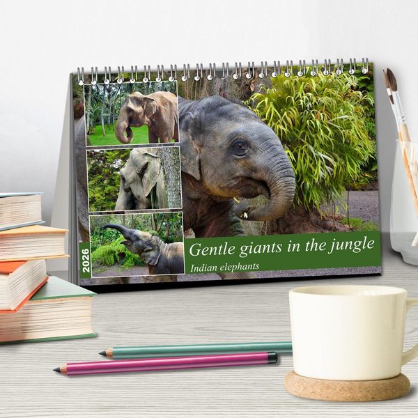 Produktbild: Gentle giants in the jungle (Desk Calendar 2026 DIN A5 landscape), CALVENDO 12 Month DeskCalendar