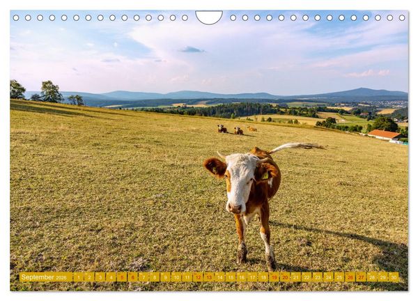 Produktbild: Faszination Oberpfalz (Wandkalender 2026 DIN A4 quer), CALVENDO Monatskalender