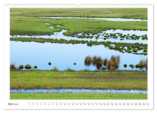 Produktbild: Buntes und bl&uuml;hendes Borkum (Wandkalender 2026 DIN A2 quer), CALVENDO Monatskalender
