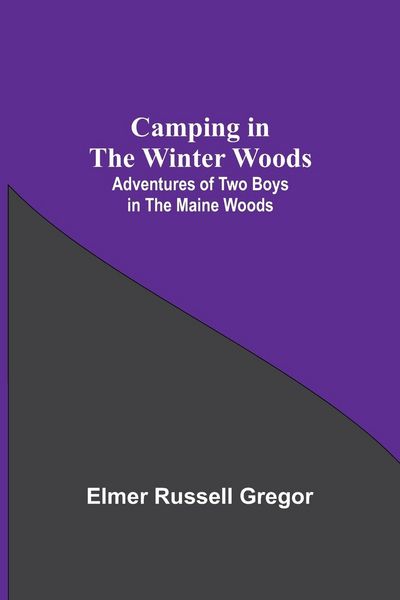 Produktbild: Camping In The Winter Woods
