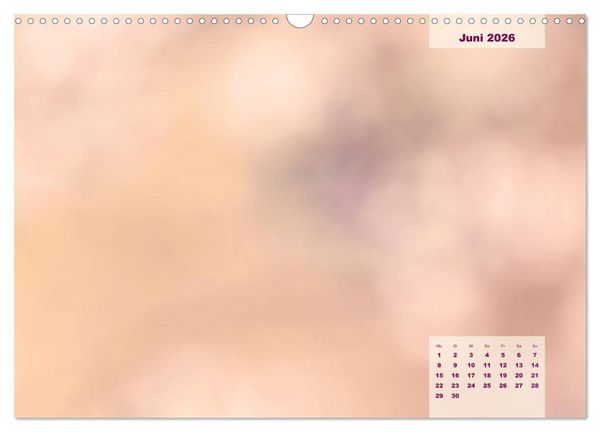 Produktbild: Meine Familie - mein Leben - die sch&ouml;nsten Momente - Bastelkalender (Wandkalender 2026 DIN A3 quer), CALVENDO Monatskalender