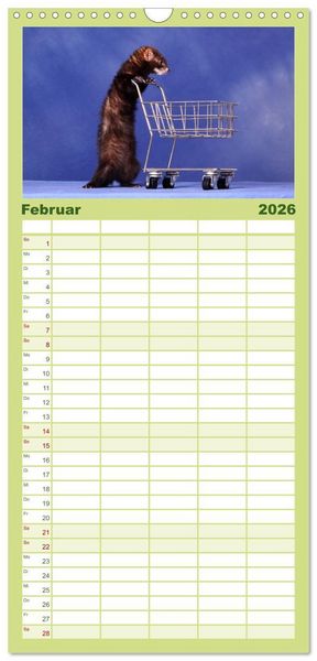 Produktbild: Familienplaner 2026 - Frettchen - Ferrets mit 5 Spalten (Wandkalender, 21 x 45 cm) CALVENDO