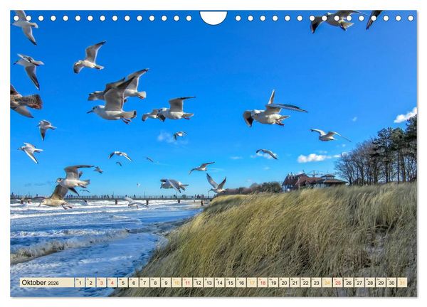 Produktbild: Reise durch Deutschland - Mecklenburg-Vorpommern (Wandkalender 2026 DIN A4 quer), CALVENDO Monatskalender