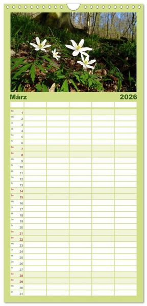 Produktbild: Familienplaner 2026 - Jahreszeiten mit 5 Spalten (Wandkalender, 21 x 45 cm) CALVENDO