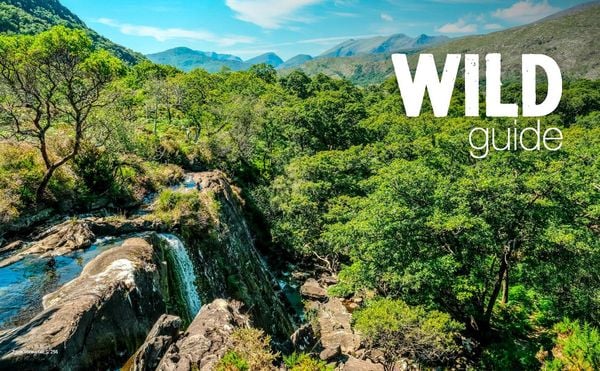 Produktbild: Wild Guide Irland - Der Westen