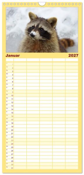 Produktbild: Familienplaner 2027 - Waschb&auml;ren mit 5 Spalten (Wandkalender, 21 x 45 cm) CALVENDO