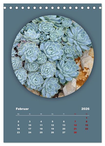 Produktbild: Rundherum Natur (Tischkalender 2026 DIN A5 hoch), CALVENDO Monatskalender