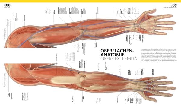 Produktbild: Anatomie und Physiologie