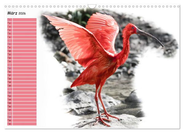 Produktbild: Tierisches Yoga (Wandkalender 2026 DIN A3 quer), CALVENDO Monatskalender