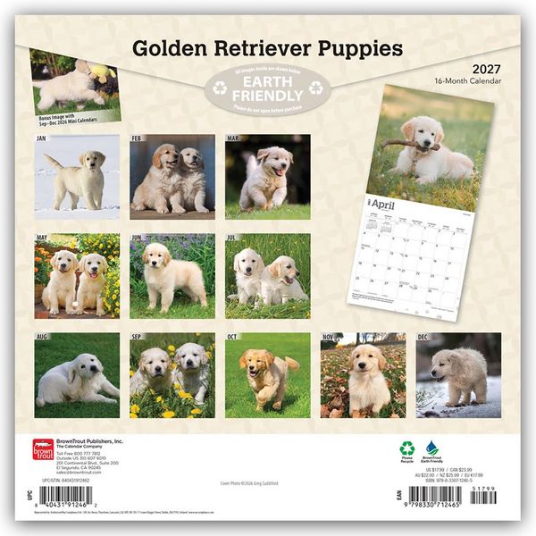 Produktbild: Golden Retriever Puppies &ndash; Golden Retriever Welpen 2027 &ndash; 16-Monatskalender