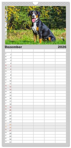Produktbild: Familienplaner 2026 - Schweizer Sennenhunde - aus den Schweizer Alpen mit 5 Spalten (Wandkalender, 21 x 45 cm) CALVENDO