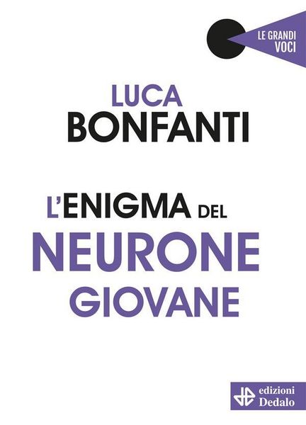 Produktbild: L'enigma del neurone giovane