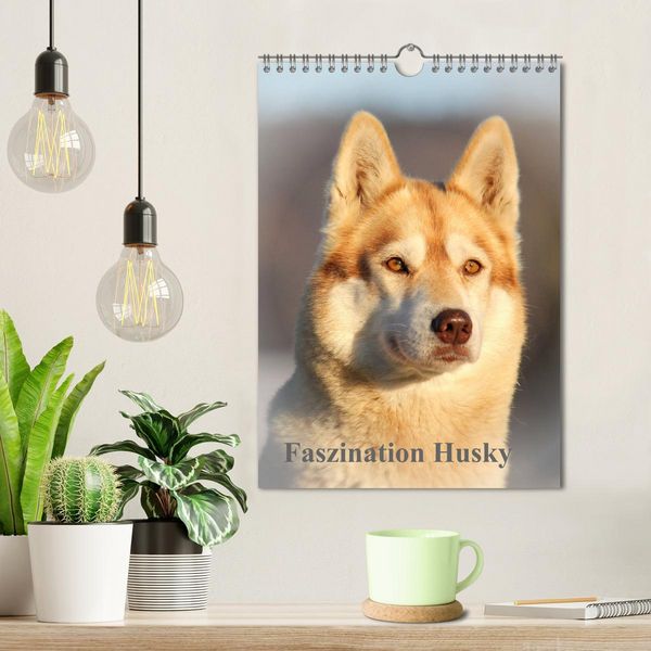 Produktbild: Faszination Husky (Wandkalender 2026 DIN A4 hoch), CALVENDO Monatskalender