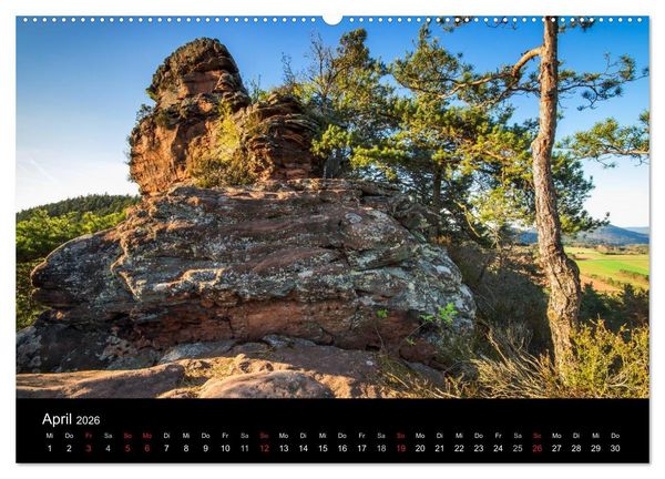 Produktbild: Mystischer Pf&auml;lzer Wald (hochwertiger Premium Wandkalender 2026 DIN A2 quer), Kunstdruck in Hochglanz