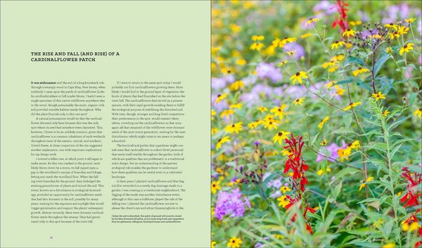 Produktbild: Garden Revolution