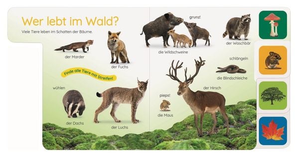 Produktbild: Erstes Lernen Pocket. Im Wald