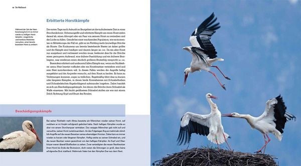 Produktbild: Der Wei&szlig;storch