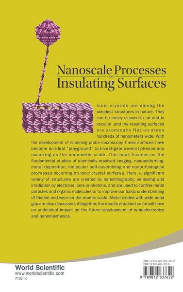 Produktbild: Nanoscale Processes On Insulating...