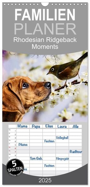 Familienplaner 2025 - Rhodesian Ridgeback - Moments mit 5 Spalten (Wandkalender, 21 x 45 cm) CALVENDO