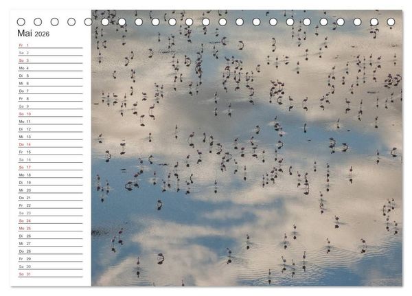 Produktbild: Emotionale Momente: Mein wildes Afrika (Tischkalender 2026 DIN A5 quer), CALVENDO Monatskalender