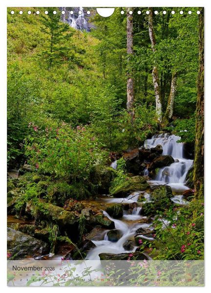 Produktbild: Alles im Fluss - Schwarzwaldwasser (Wandkalender 2026 DIN A4 hoch), CALVENDO Monatskalender