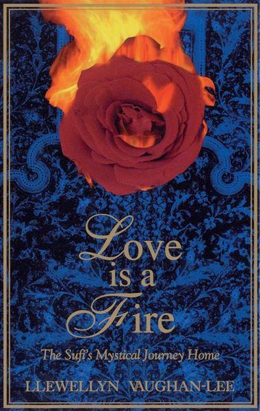 Produktbild: Love Is a Fire