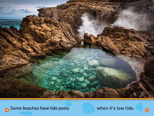 Produktbild: At the Beach (National Geographic Kids Readers, Pre-Reader)