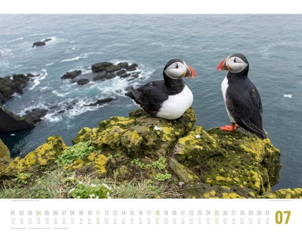 Produktbild: Tierwelt Skandinavien Kalender 2027
