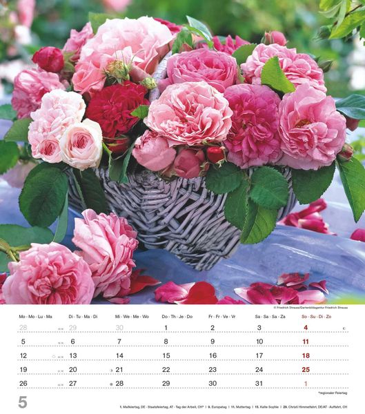 Produktbild: Alpha Edition - Der Duft der Rosen 2025 Bildkalender, 30,x34cm, Kalender mit sch&ouml;nen Bildmotiven f&uuml;r jeden Monat, Monats&uuml;bersicht, Feiertage DE/AT/CH und internationales Kalendarium