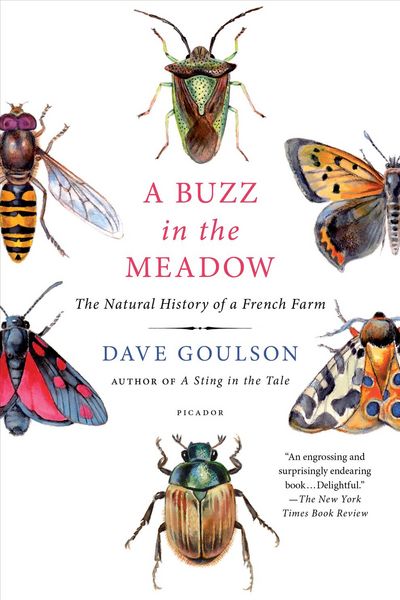 Produktbild: Buzz in The Meadow