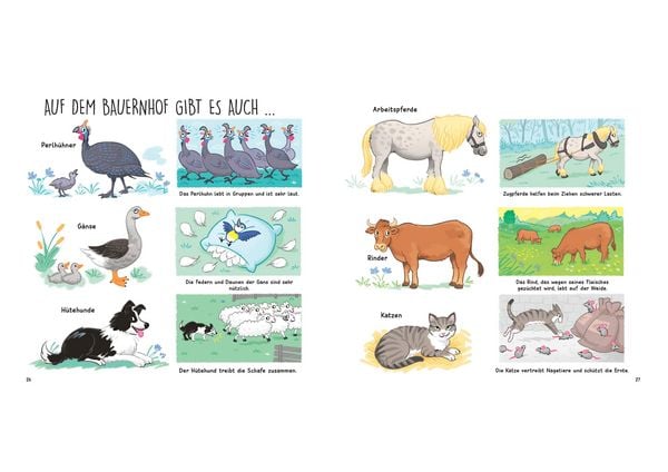Produktbild: Kennst du die Tiere vom Bauernhof? - Sachbilderbuch f&uuml;r Kinder ab 3 Jahren