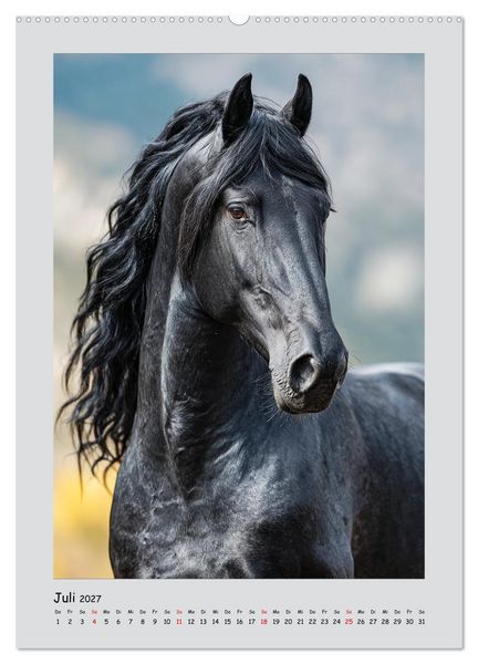 Produktbild: Friesenpferde. Schwarze Eleganz in der Natur (Wandkalender 2027 DIN A2 hoch), CALVENDO Monatskalender