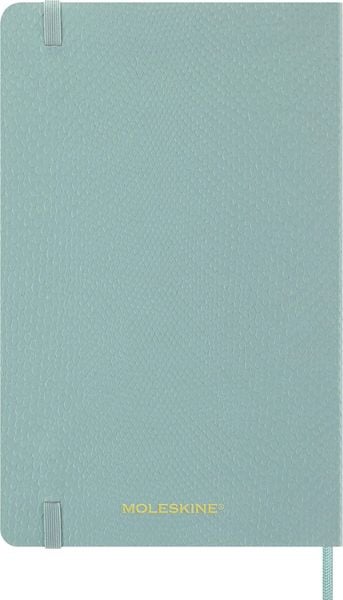 Produktbild: Moleskine 12 Monate Precious & Ethical Wochen Notizkalender, L/A5, liniert, weicher Einband, Mamba Hellgr&uuml;n, mit Box
