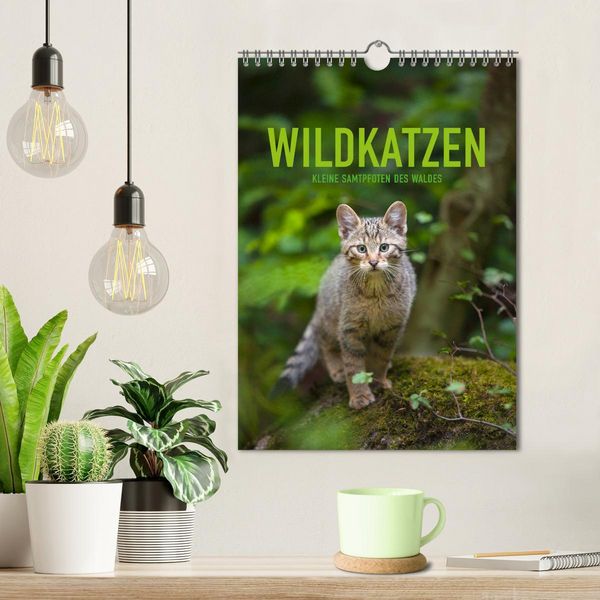 Produktbild: Wildkatzen - Kleine Samtpfoten des Waldes (Wandkalender 2026 DIN A4 hoch), CALVENDO Monatskalender