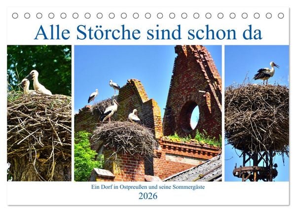 Produktbild: Alle St&ouml;rche sind schon da - Ein Dorf in Ostpreu&szlig;en und seine Sommerg&auml;ste (Tischkalender 2026 DIN A5 quer), CALVENDO Monatskalender