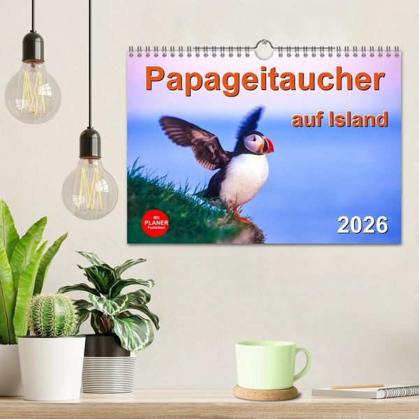 Produktbild: Papageitaucher auf Island (Wandkalender 2026 DIN A4 quer), CALVENDO Monatskalender