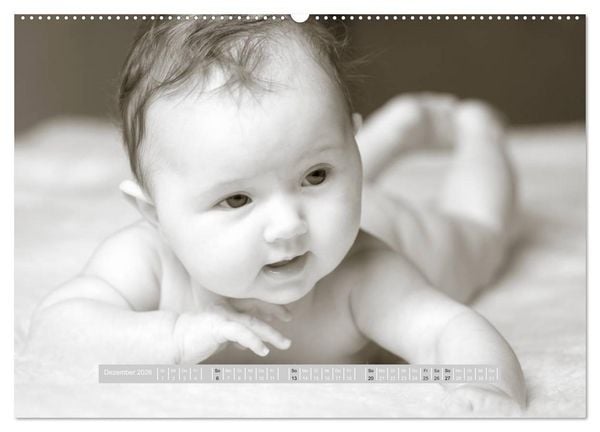 Produktbild: ...so winzig - Babykalender (hochwertiger Premium Wandkalender 2026 DIN A2 quer), Kunstdruck in Hochglanz